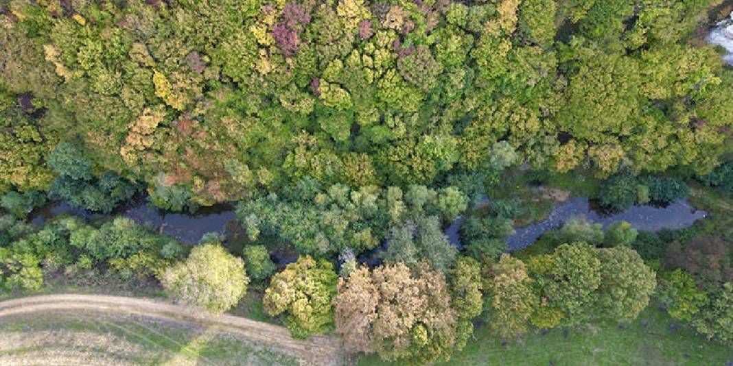Doğanın içinde gerçek bir cennet! Türkiye’nin gizli hazinesi: Gören “gerçek mi?” diyor, giden hayran kalıyor 2